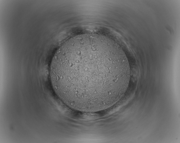 X0000112110707200908041541