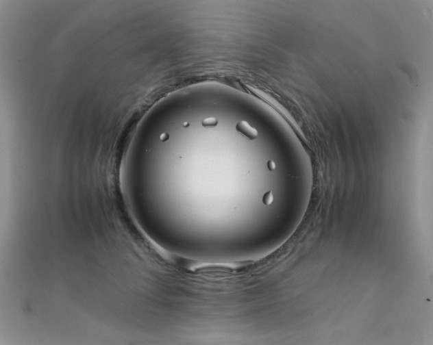 X0000112110708200908041541