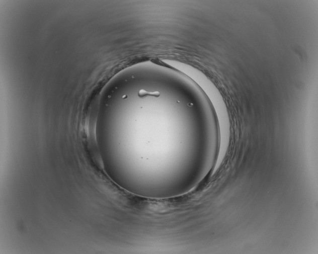 X0000112110709200908041541