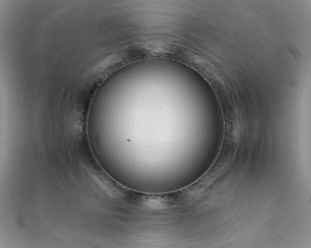 X0000112110710200908041541