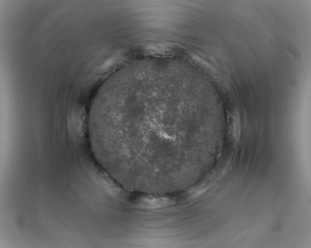 X0000112110712200908041541