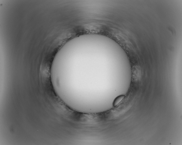 X0000112110713200908041541