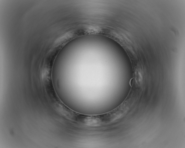 X0000112110714200908041541