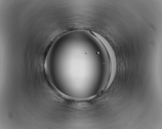 X0000112110716200908041541