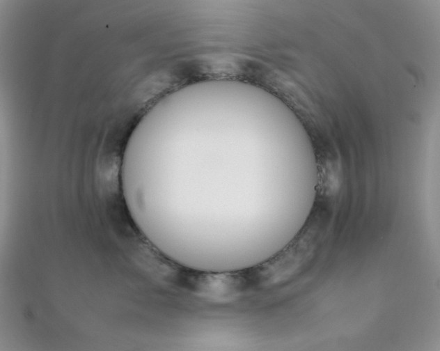 X0000112110717200908041541