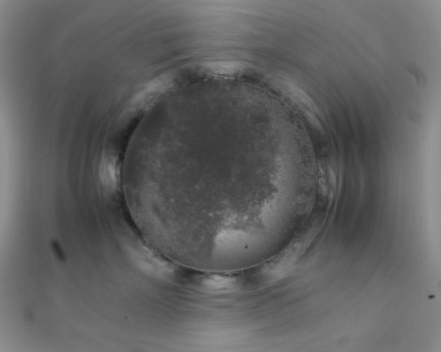 X0000112110718200908041541