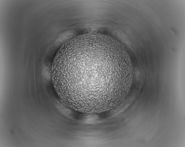 X0000112110719200908041541