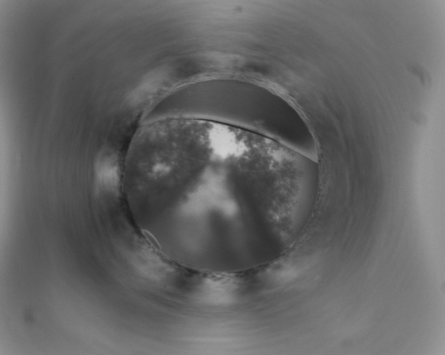 X0000112110720200908041541