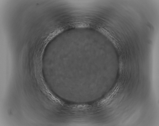 X0000112110721200908041540