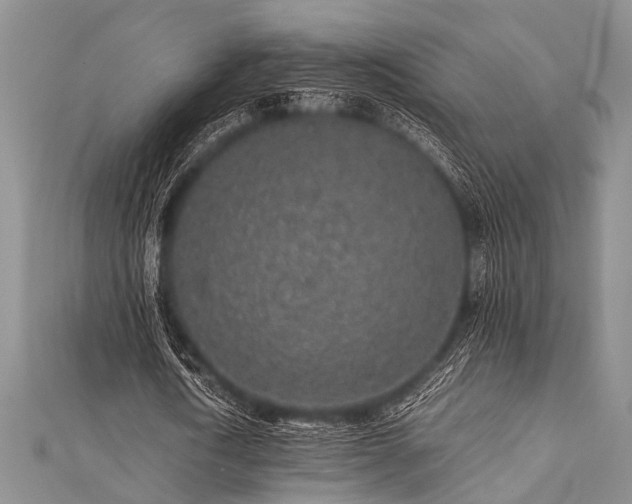 X0000112110722200908041540