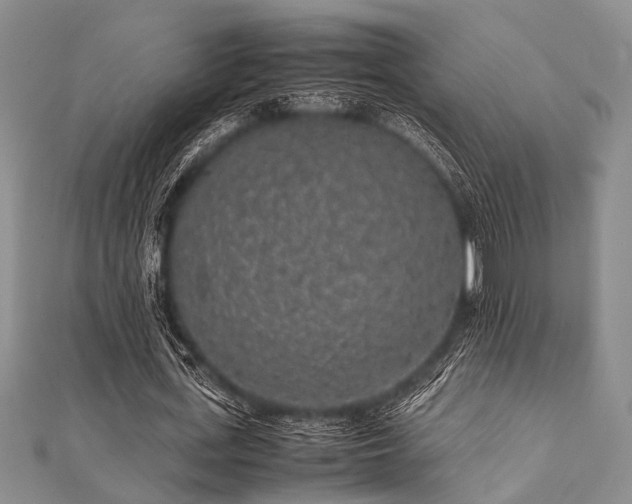 X0000112110723200908041540