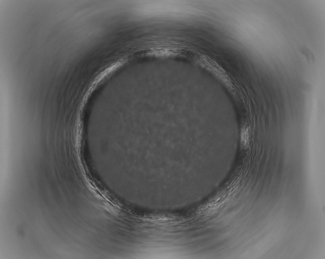 X0000112110724200908041540