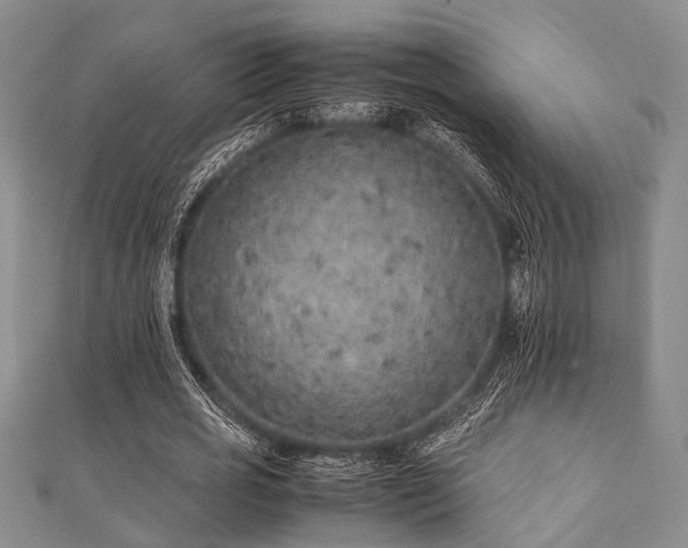 X0000112110725200908041540