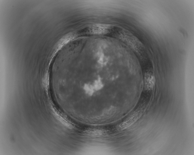 X0000112110726200908041540