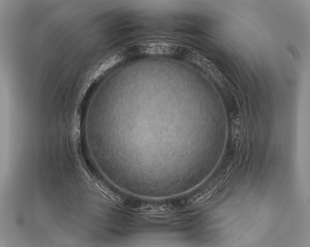 X0000112110727200908041540