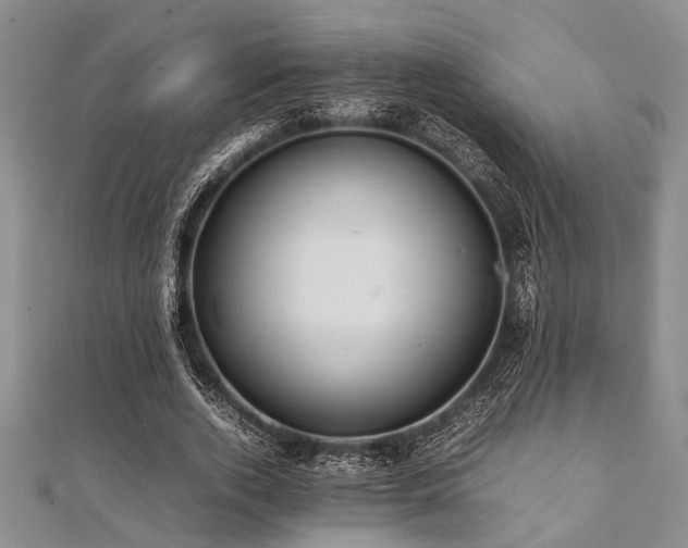 X0000112110728200908041540