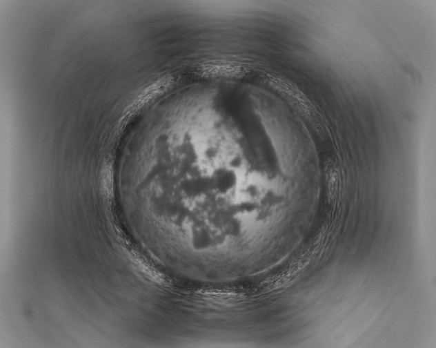 X0000112110729200908041540