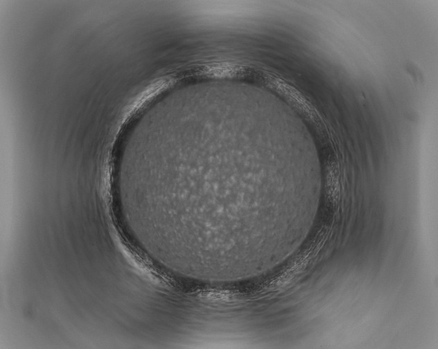 X0000112110730200908041540