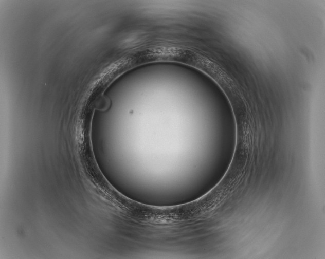 X0000112110731200908041540