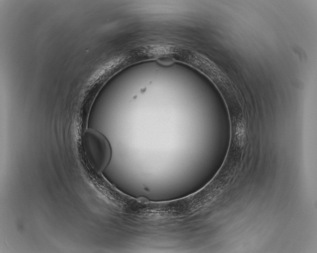 X0000112110732200908041540