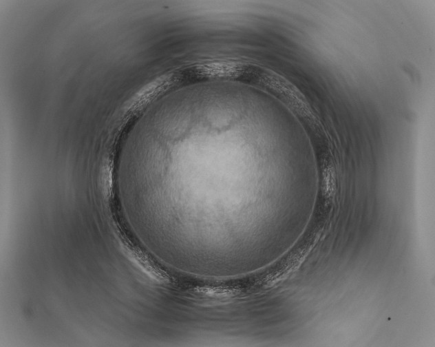 X0000112110733200908041540