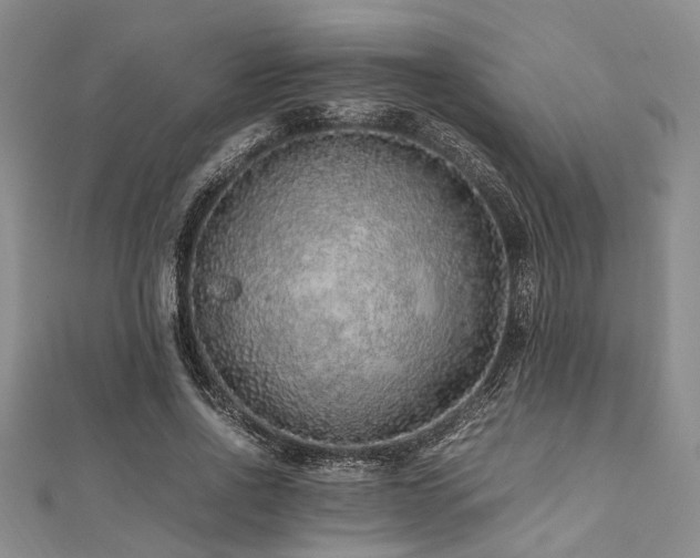 X0000112110734200908041540