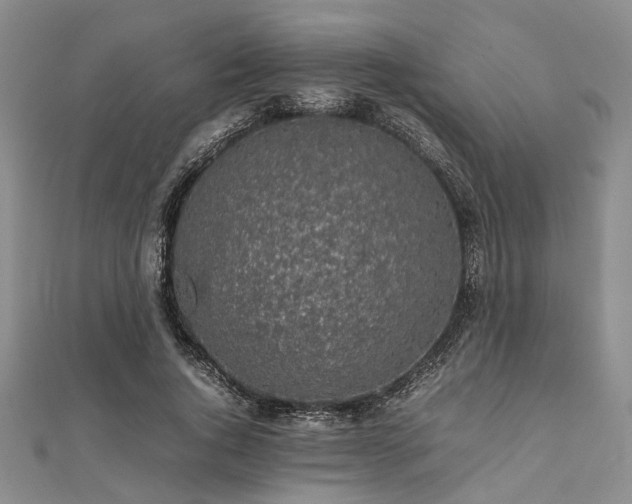 X0000112110736200908041540