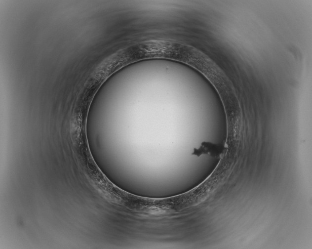 X0000112110737200908041540