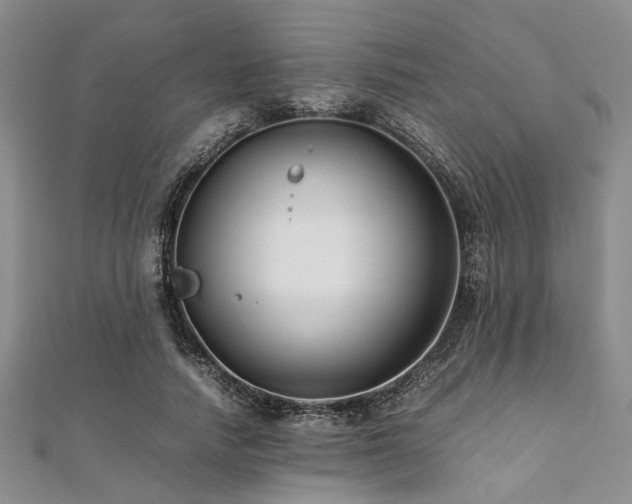 X0000112110738200908041540