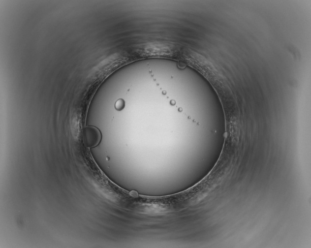 X0000112110741200908041541