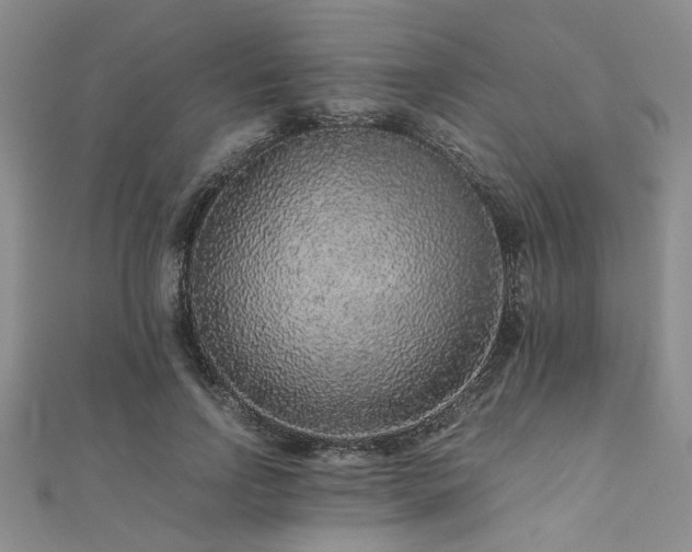 X0000112110742200908041541