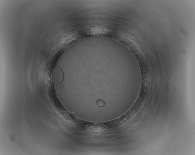 X0000112110743200908041541