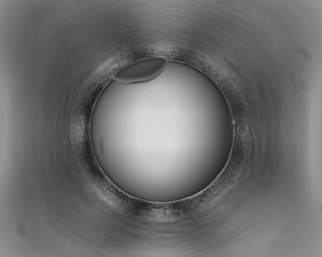 X0000112110744200908041541