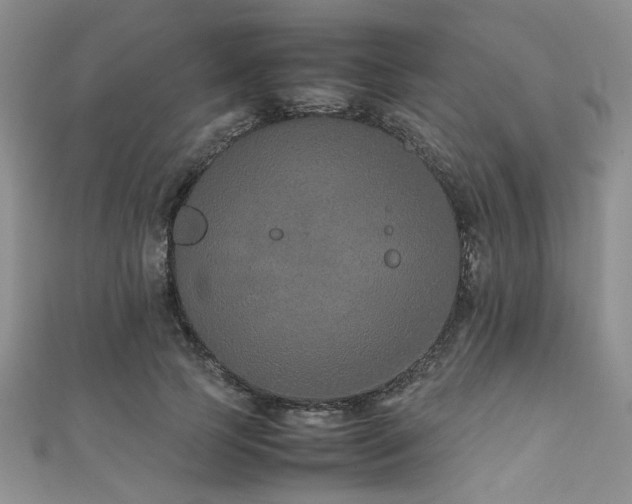 X0000112110745200908041541