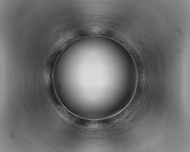 X0000112110746200908041541