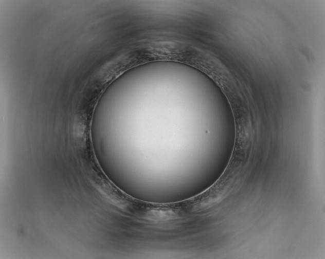 X0000112110749200908041541