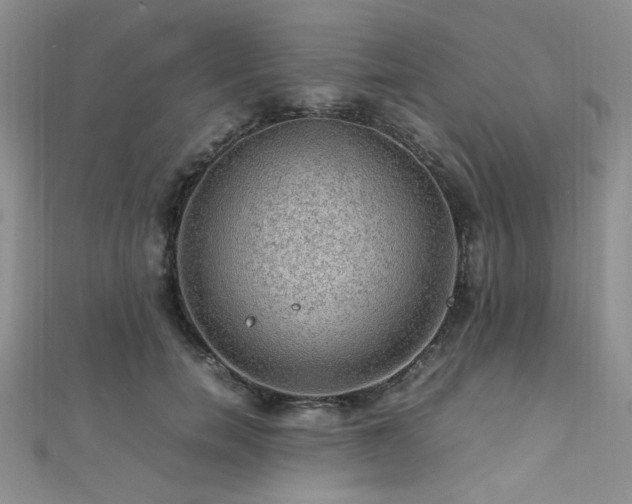 X0000112110750200908041541