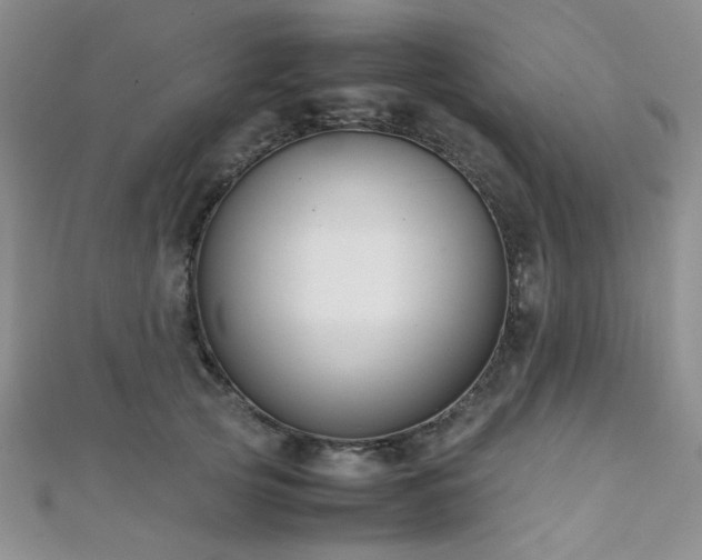 X0000112110753200908041541