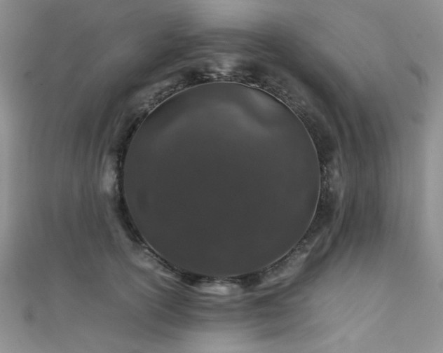 X0000112110754200908041541