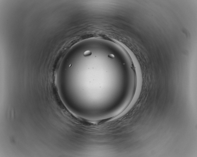 X0000112110756200908041541