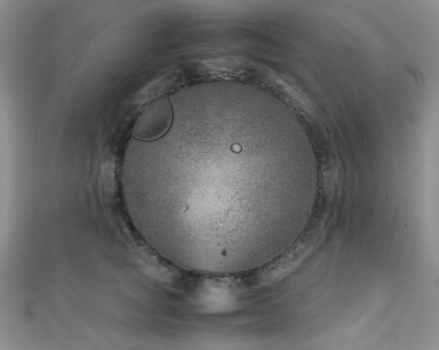 X0000112110757200908041541