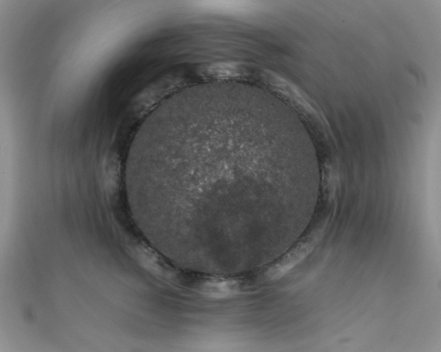 X0000112110760200908041541