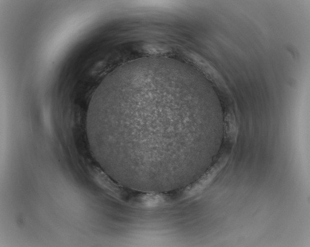 X0000112110762200908041541