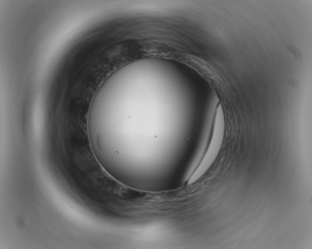 X0000112110764200908041541