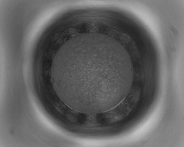 X0000112110766200908041541