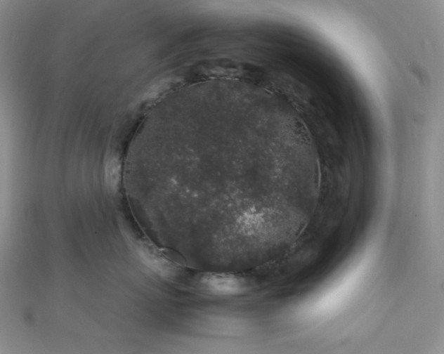 X0000112110767200908041541