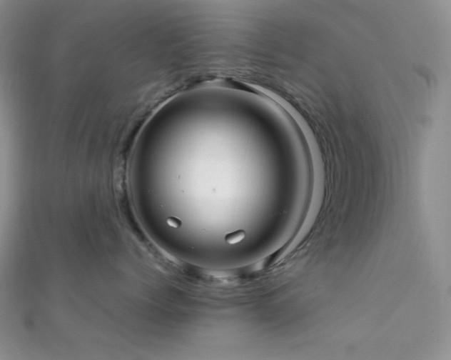 X0000112110768200908041541