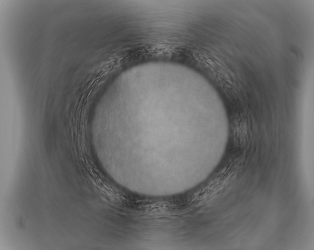 X0000112110769200908041540