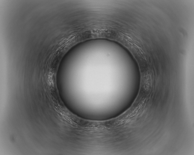 X0000112110770200908041540