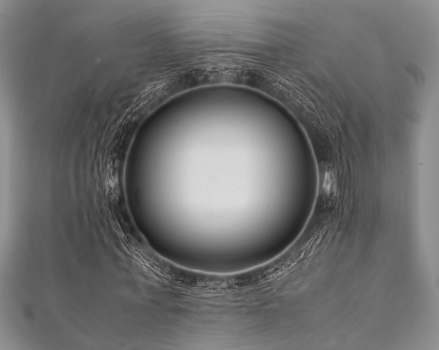 X0000112110771200908041540